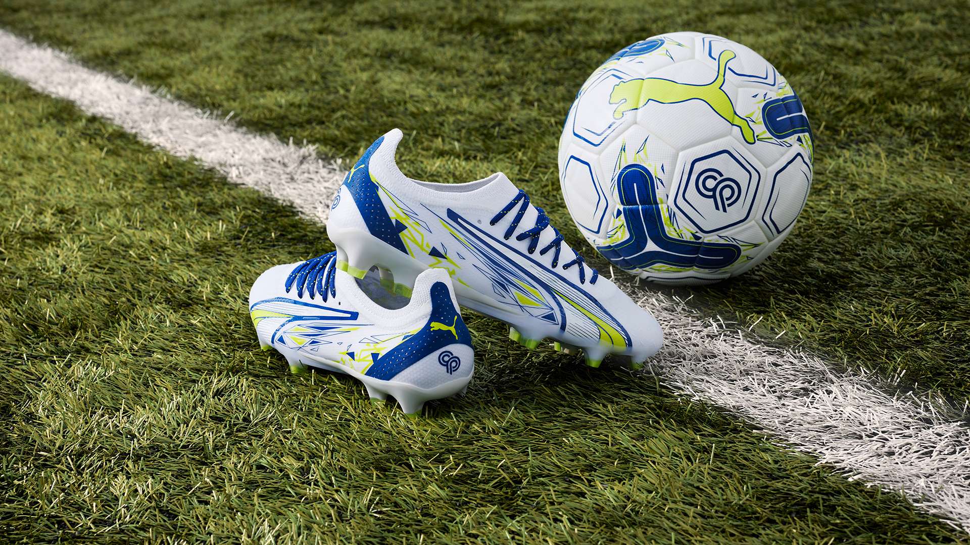 身体强壮且 身体强壮且